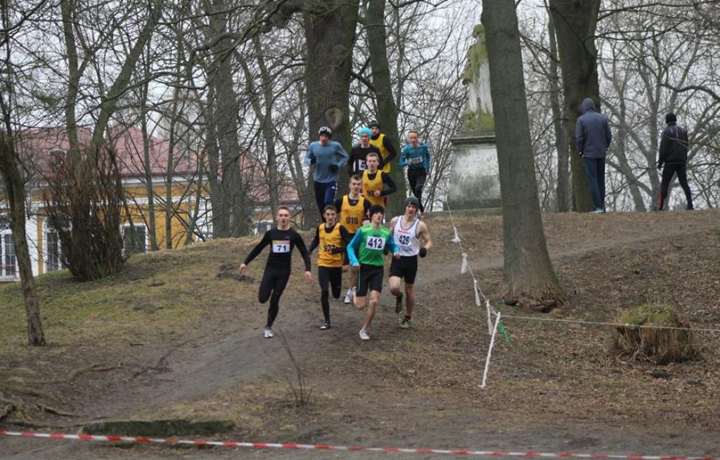 Mistrzostwa Województwa Lubelskiego  w biegach przełajowych - Zapowiedź